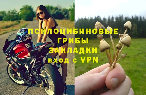 героин Алексин