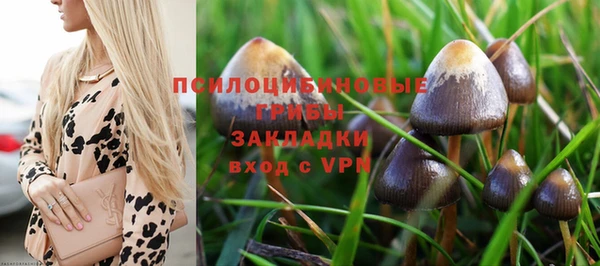 героин Алексин