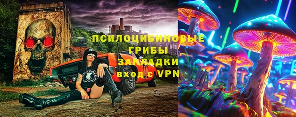 сатива Алексеевка