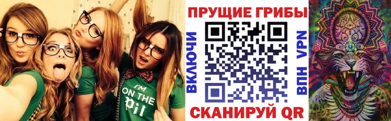 наркота  Нефтекумск  мега ONION  Галлюциногенные грибы Psilocybe 